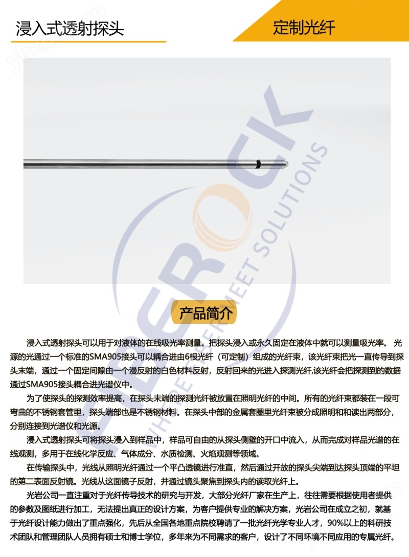 浸入式透射探頭_副本