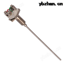 WRNK-202铠装热电偶