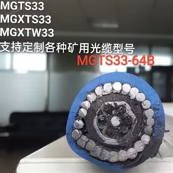 MGTSV33-12芯光缆