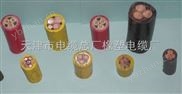 船用控制電纜CEFR