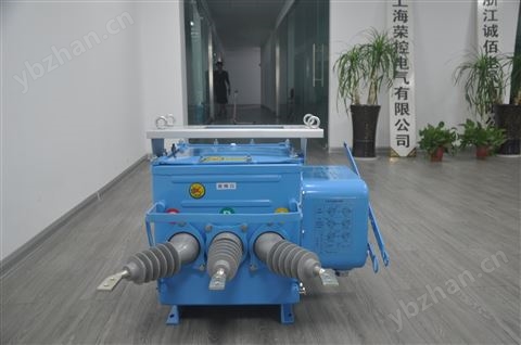 高壓真空負荷合開關\FZW28